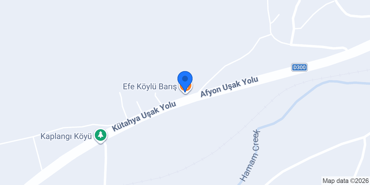 Efe Köylü Barış konumu