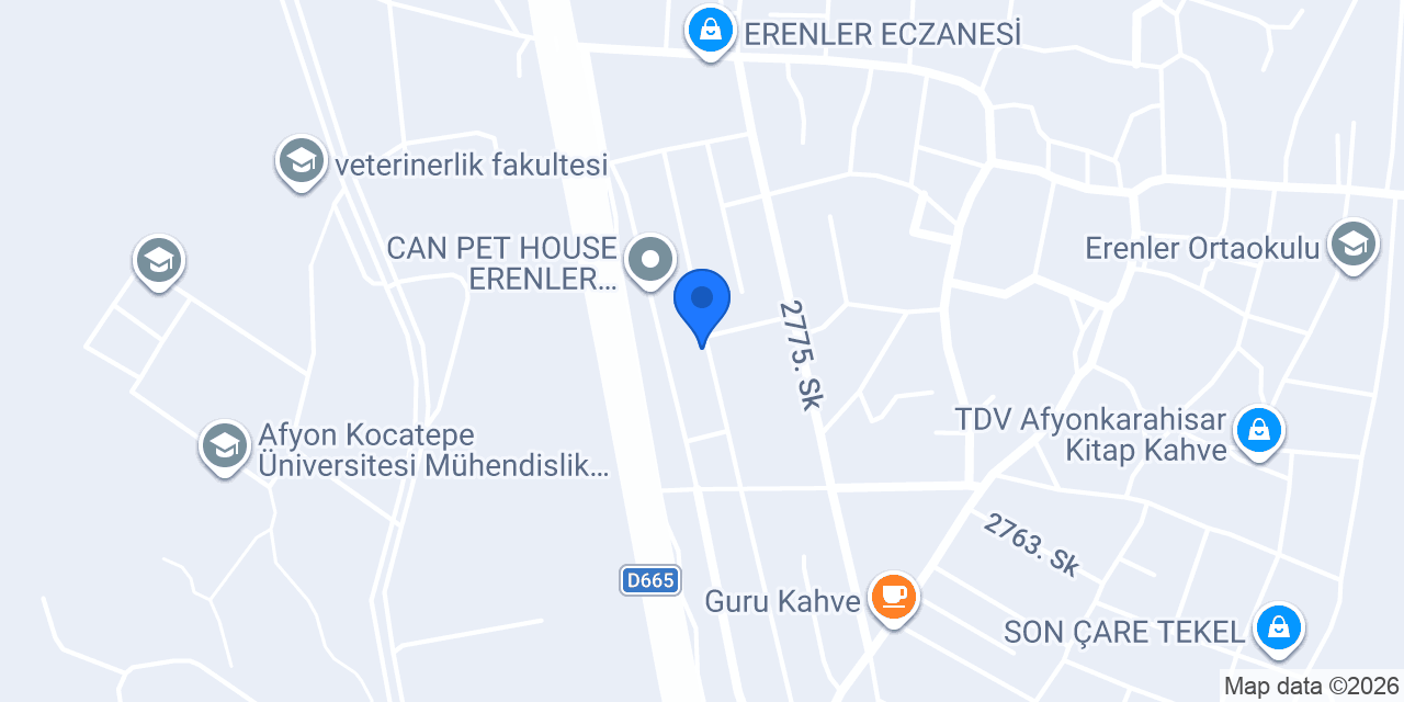 Gusto TR konumu