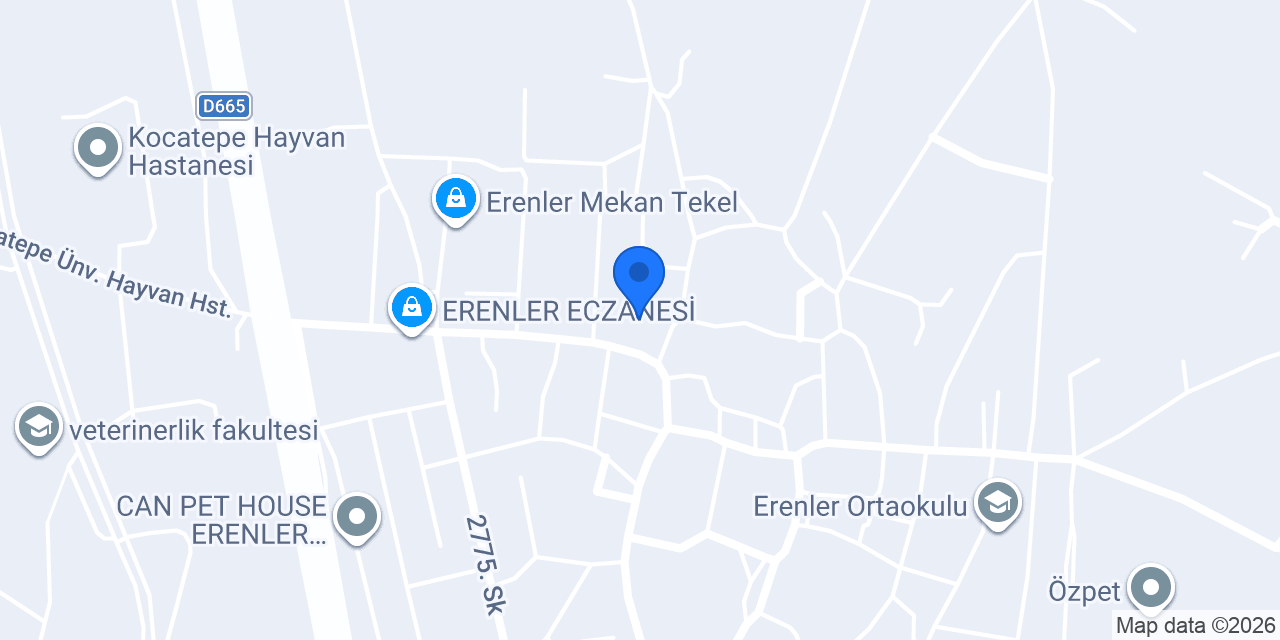 Afyon Reis motor konumu