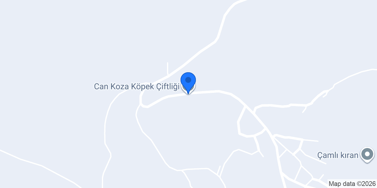 Can Koza Köpek Çiftliği konumu