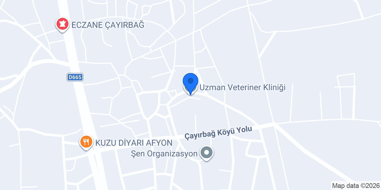 Uzman Veteriner Kliniği konumu