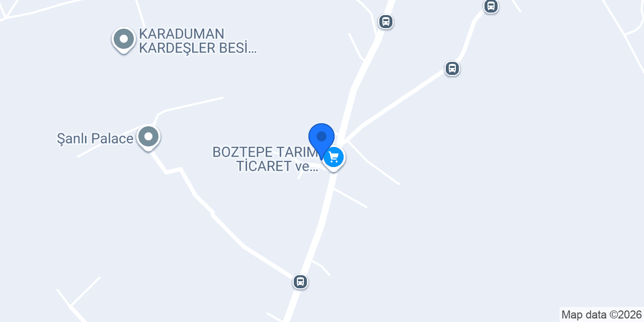 Boz besicilik konumu