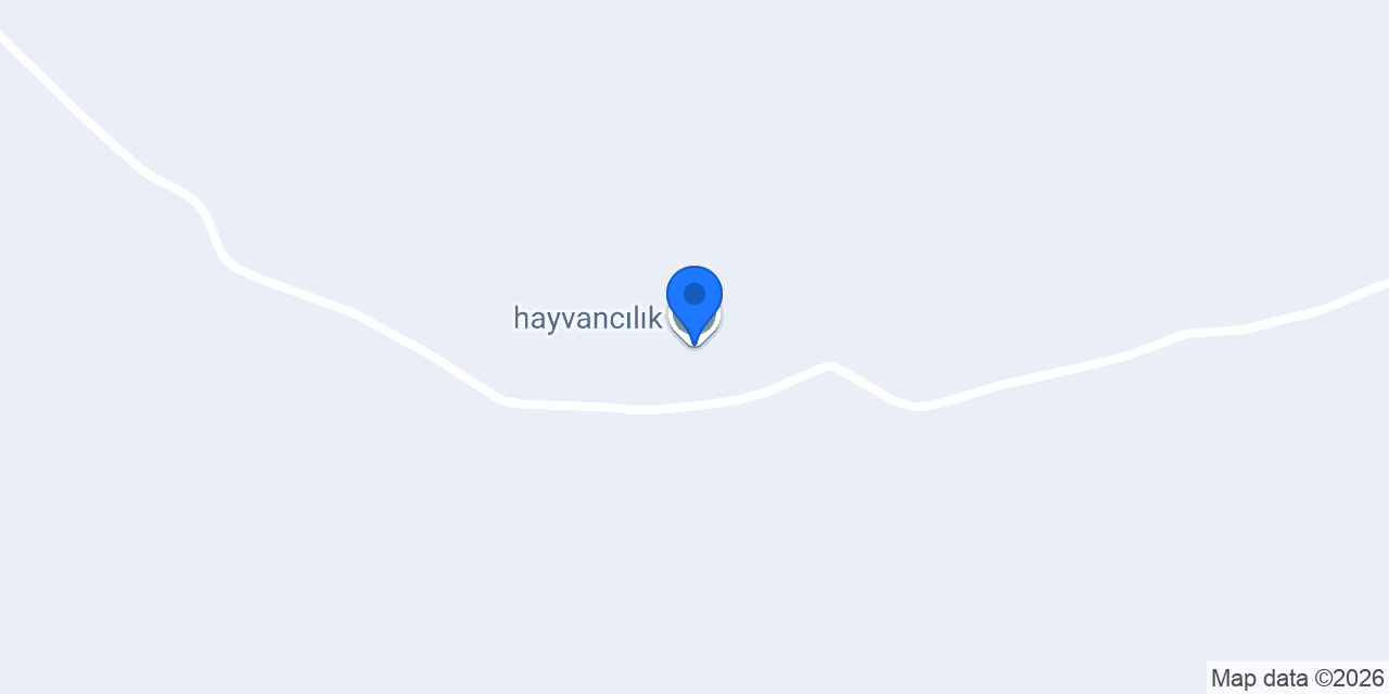 hayvancılık konumu