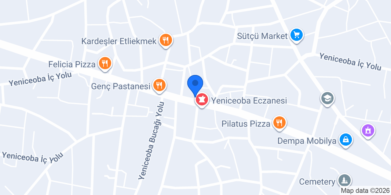 Pizza LİON konumu