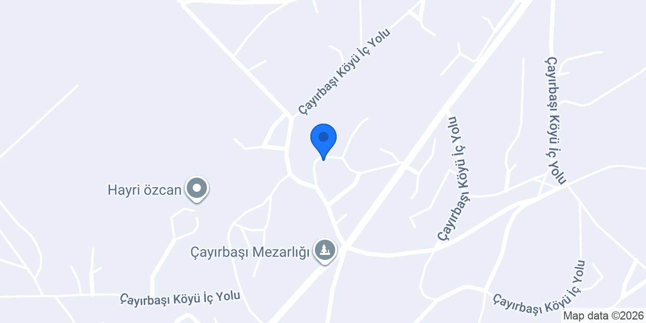 Dr.Mesut Büyük konumu