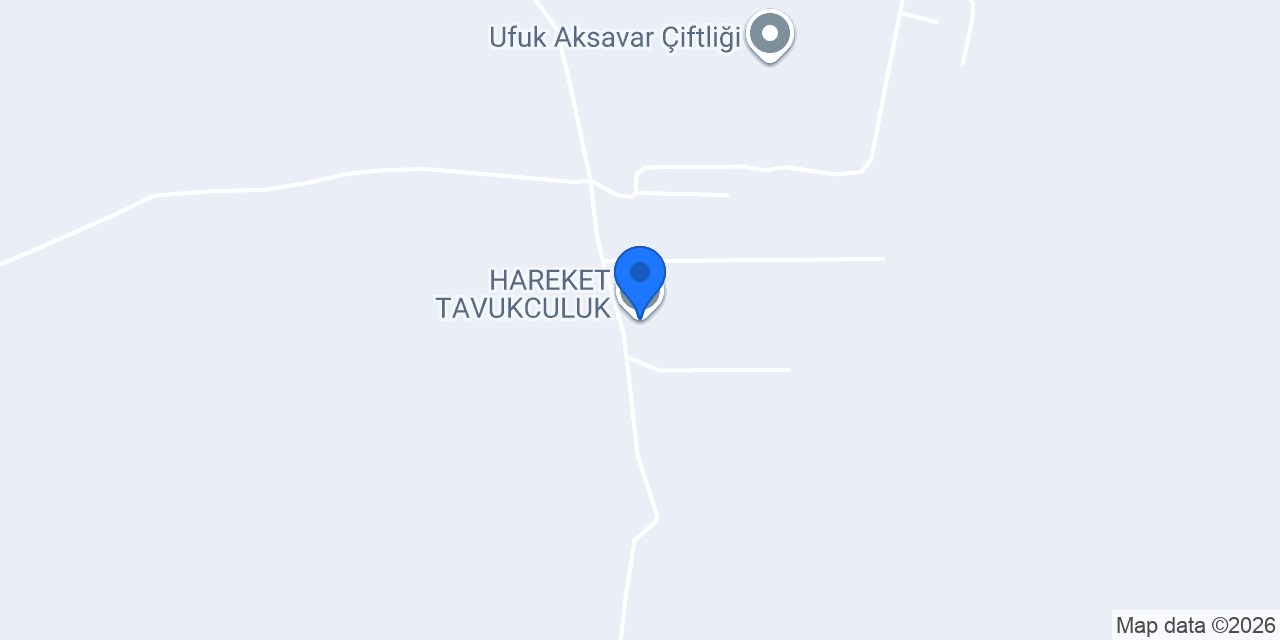 HAREKET TAVUKCULUK konumu