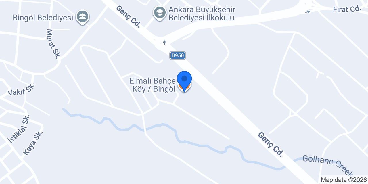 Elmalı Bahçe Köy / Bingöl konumu