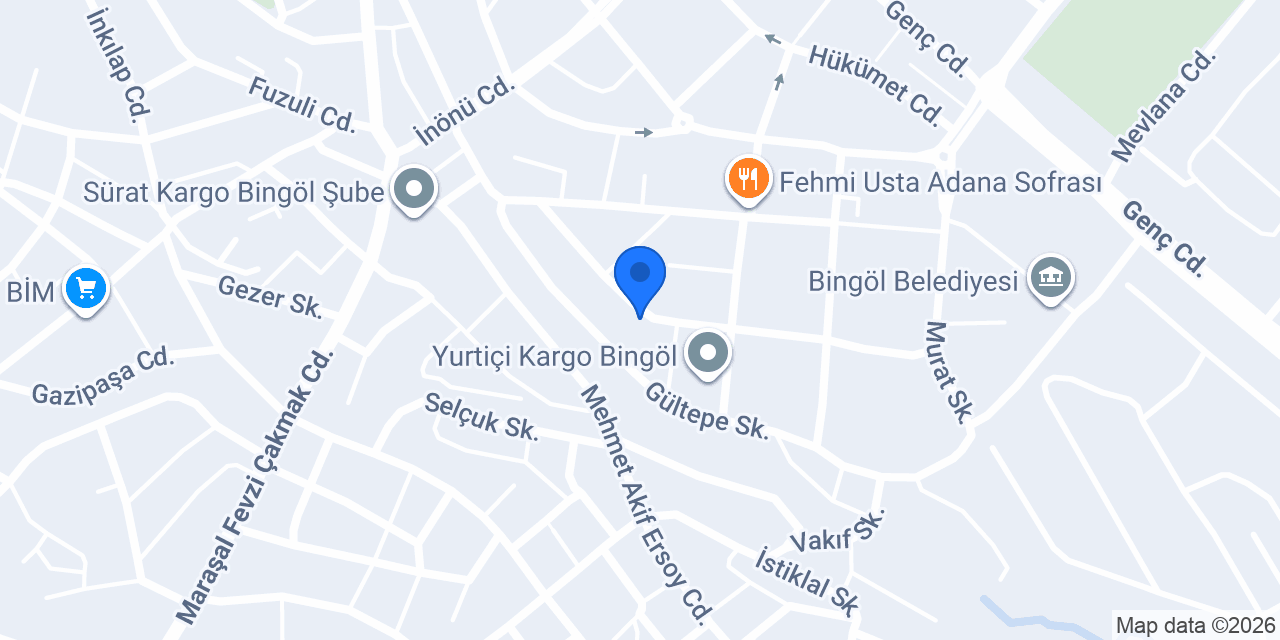 UPS KARGO konumu