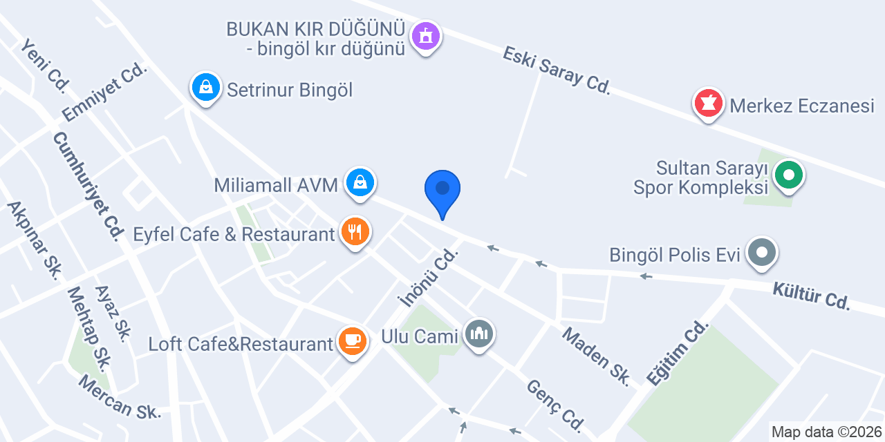 EV YEMEKLERİ LOKANTASI konumu