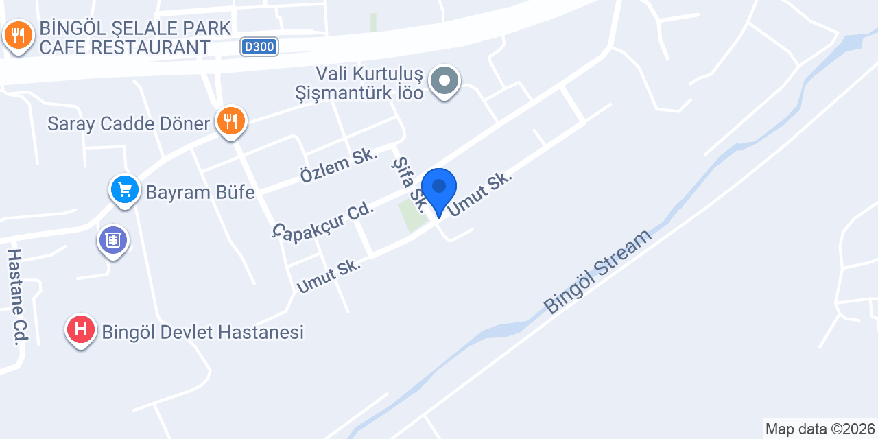 Tunç Ticaret Gıda konumu