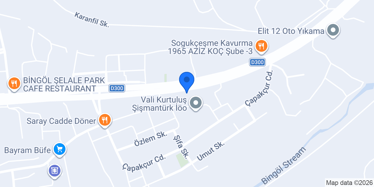 SAR ARAMA KURTARMA BİNGÖL konumu