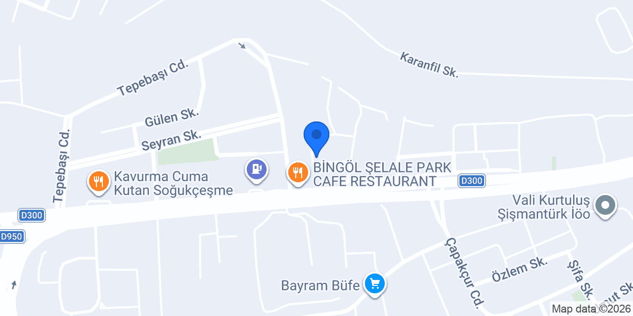 Salon çakır konumu