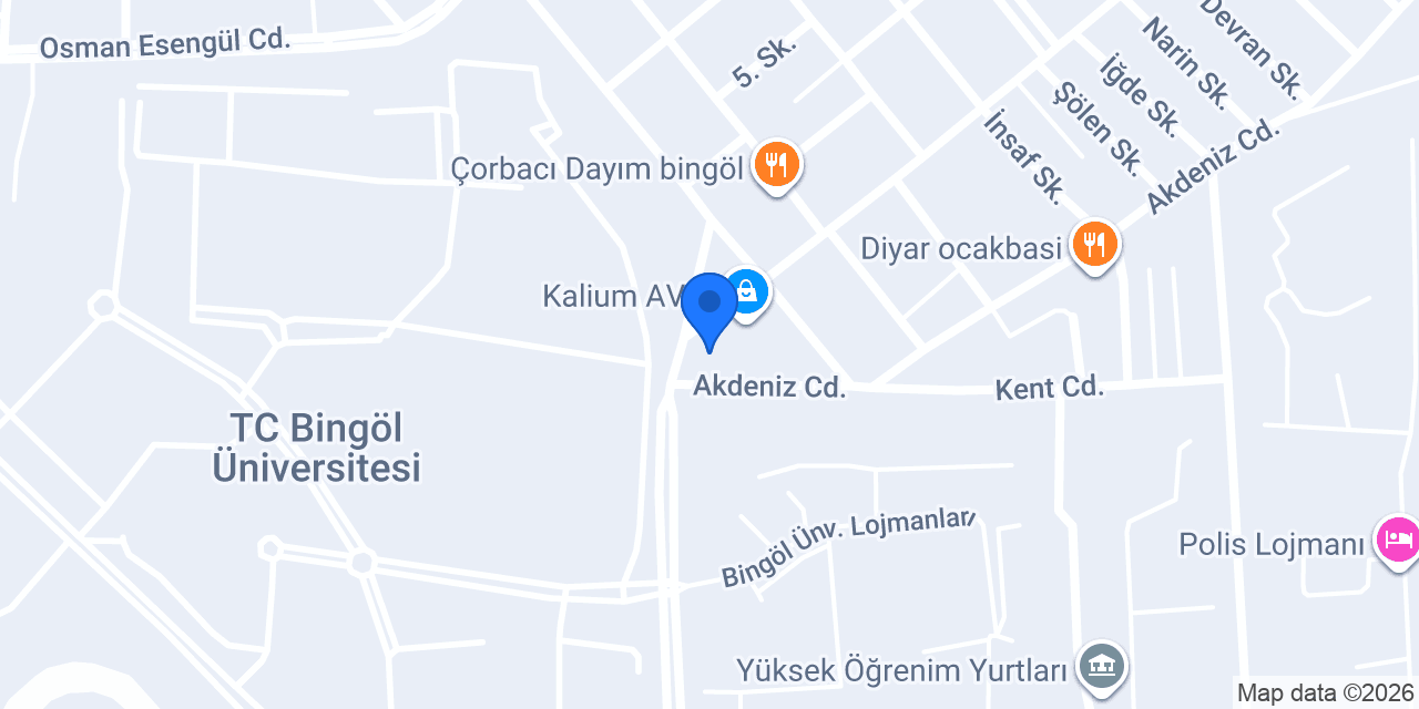 THIS CHICKEN BİNGÖL konumu