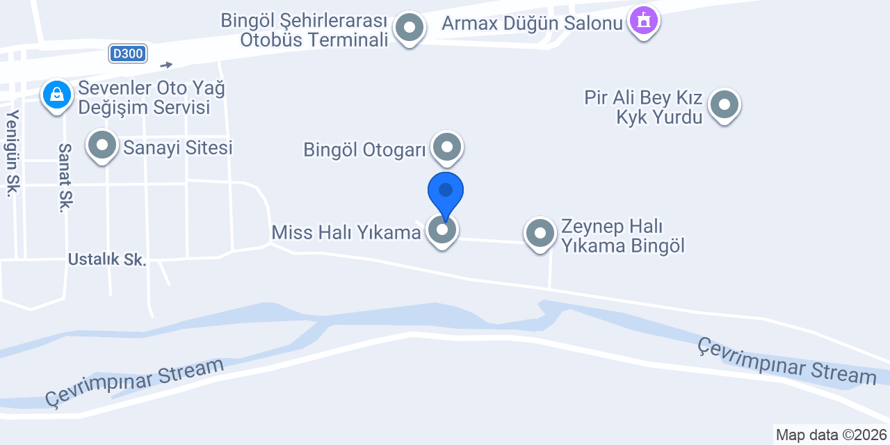 BİNGÖL TESLİM KAPORTA BOYA MİNİ ONARIM konumu