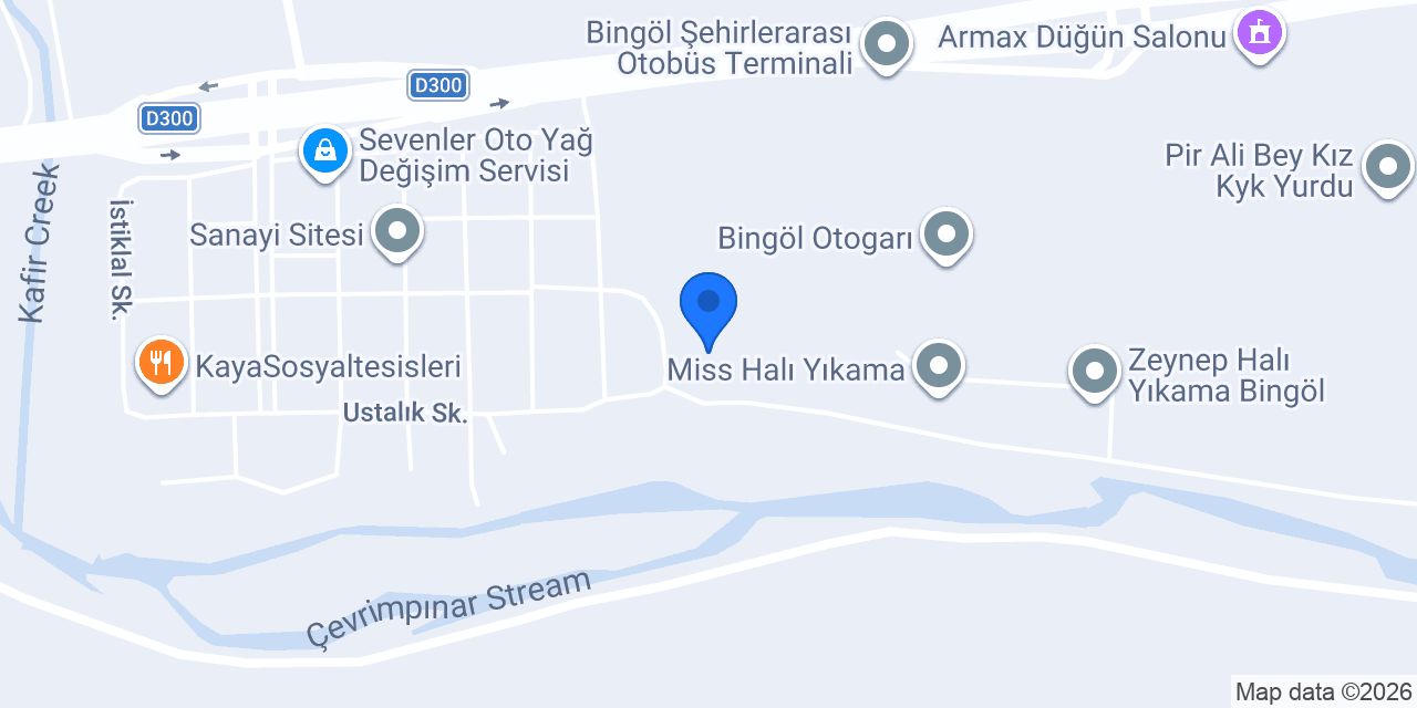 BEST VAN TUR BİNGÖL konumu