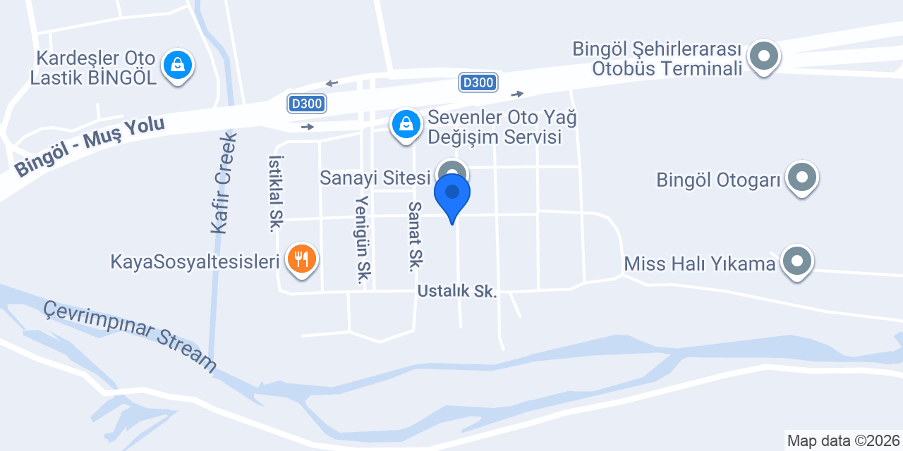 ÇINAR DEMİR konumu