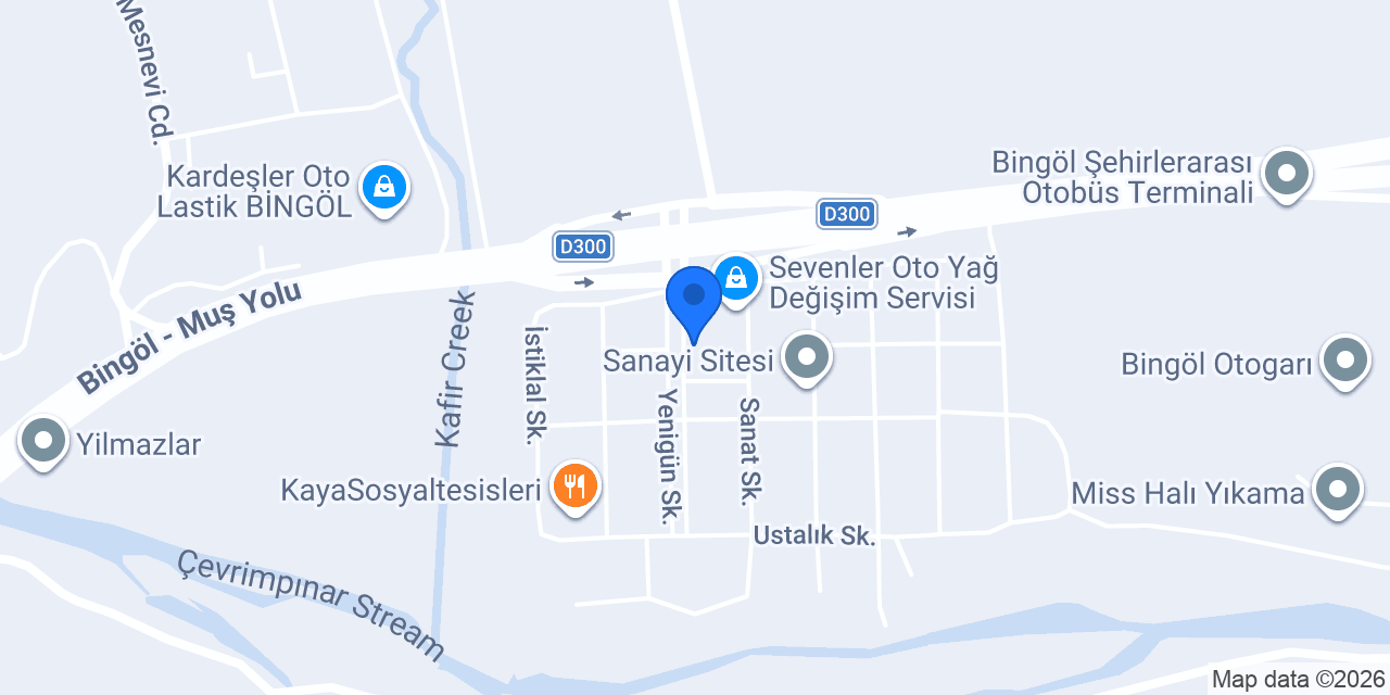 Bor Oto Elektrik konumu