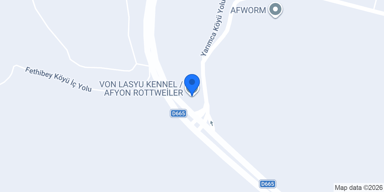 VON LASYU KENNEL / AFYON ROTTWEİLER konumu