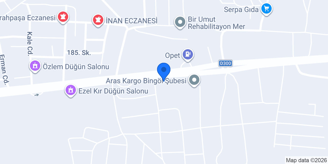 Bingöl Acl Servis konumu