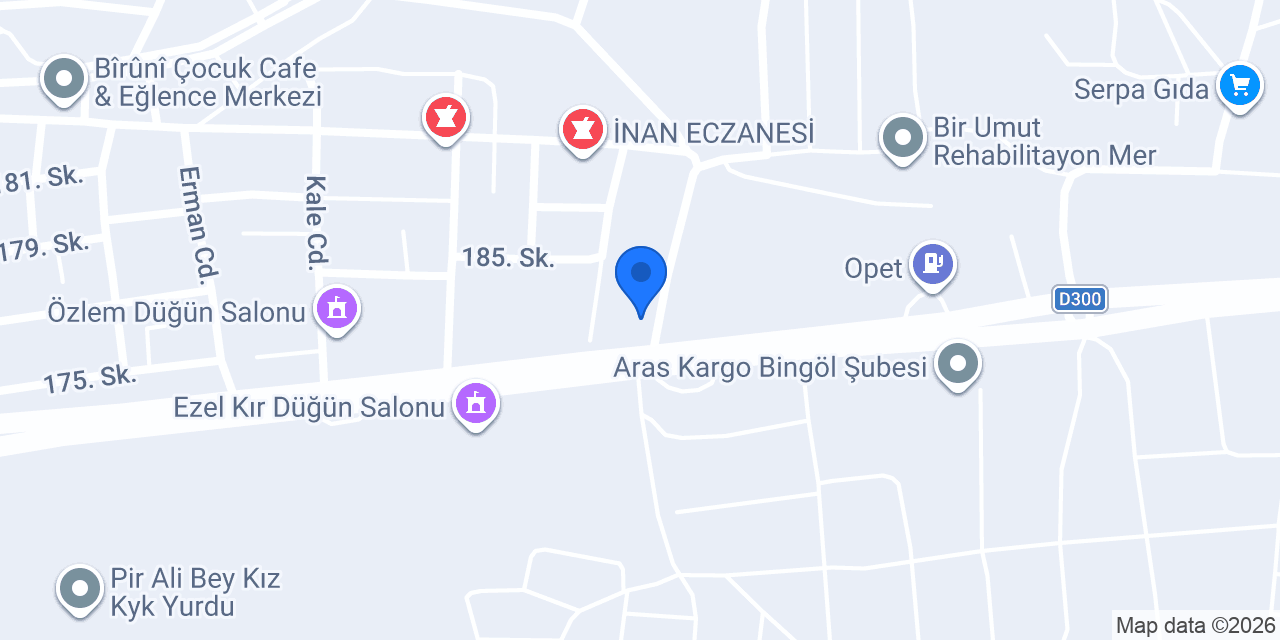 Alakış Oto Servis konumu