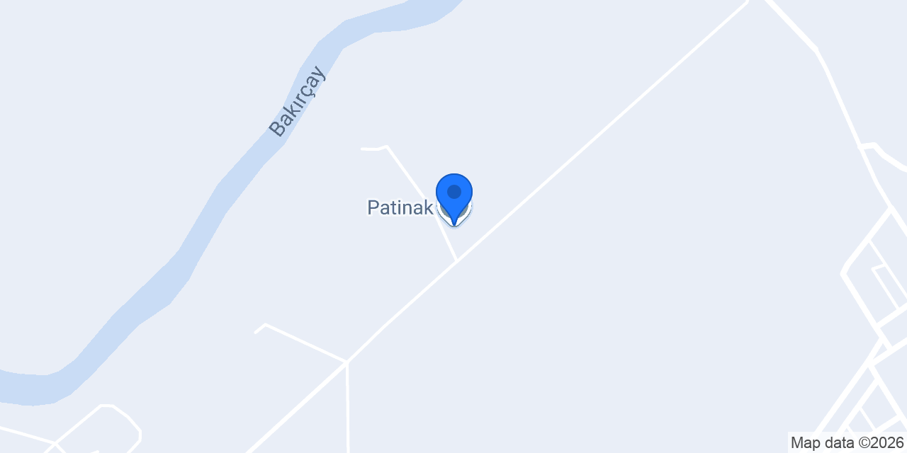 Patinak konumu