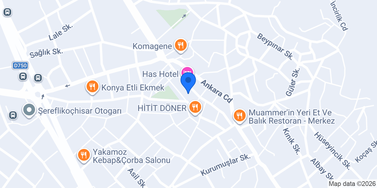 elit gümüş konumu