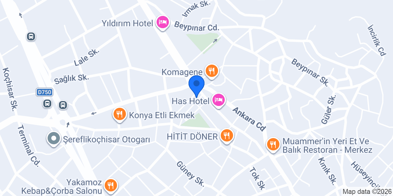 Western Union konumu