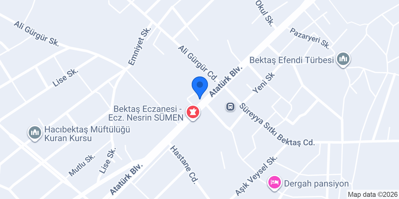 PETLAS-Aslanlar Ltd. Şti. konumu
