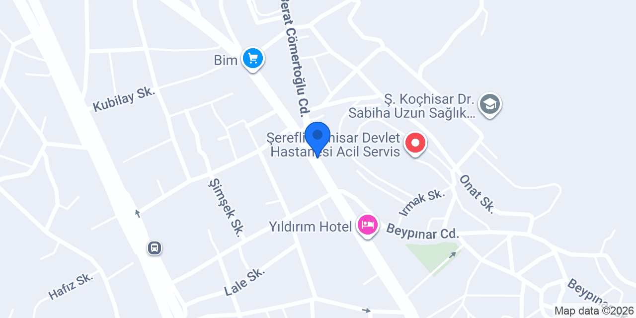 ÇAĞDAŞ ÇELİK KAPI konumu