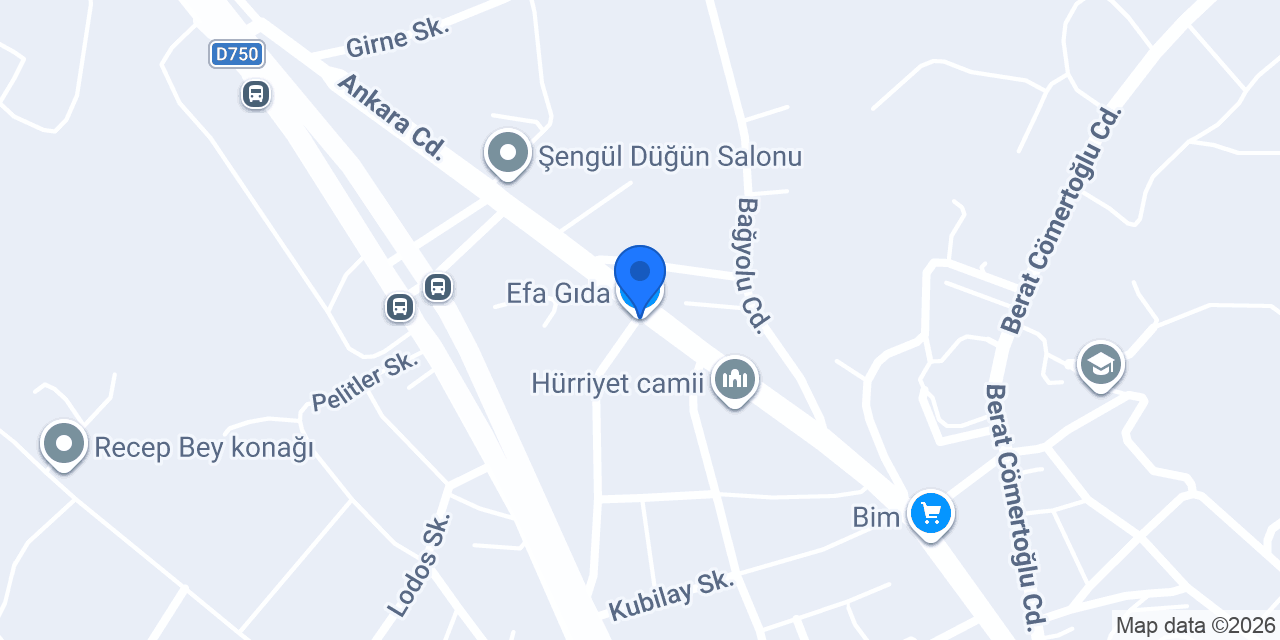 Efa Gıda konumu