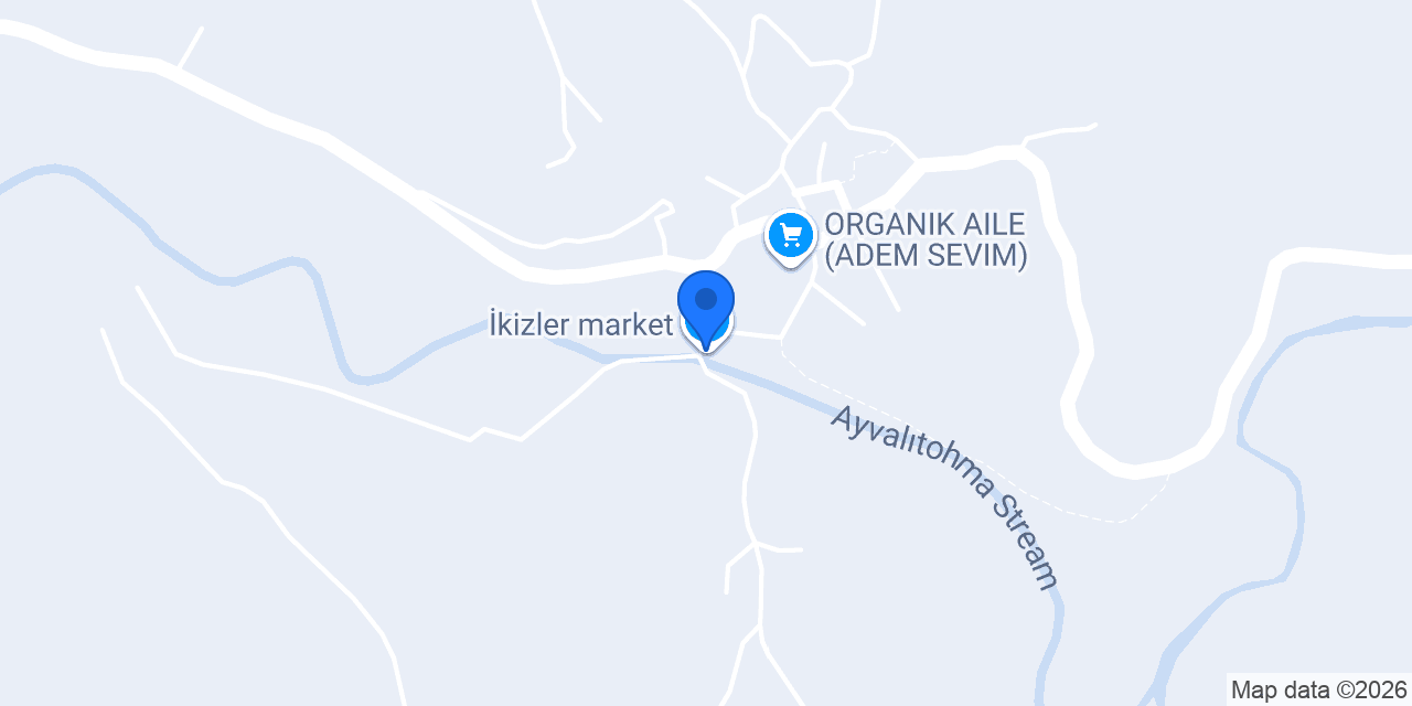 İkizler market konumu