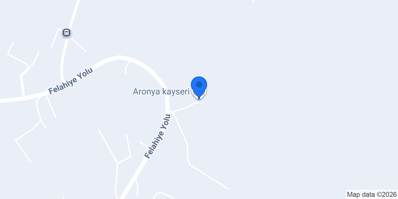 Aronya kayseri konumu