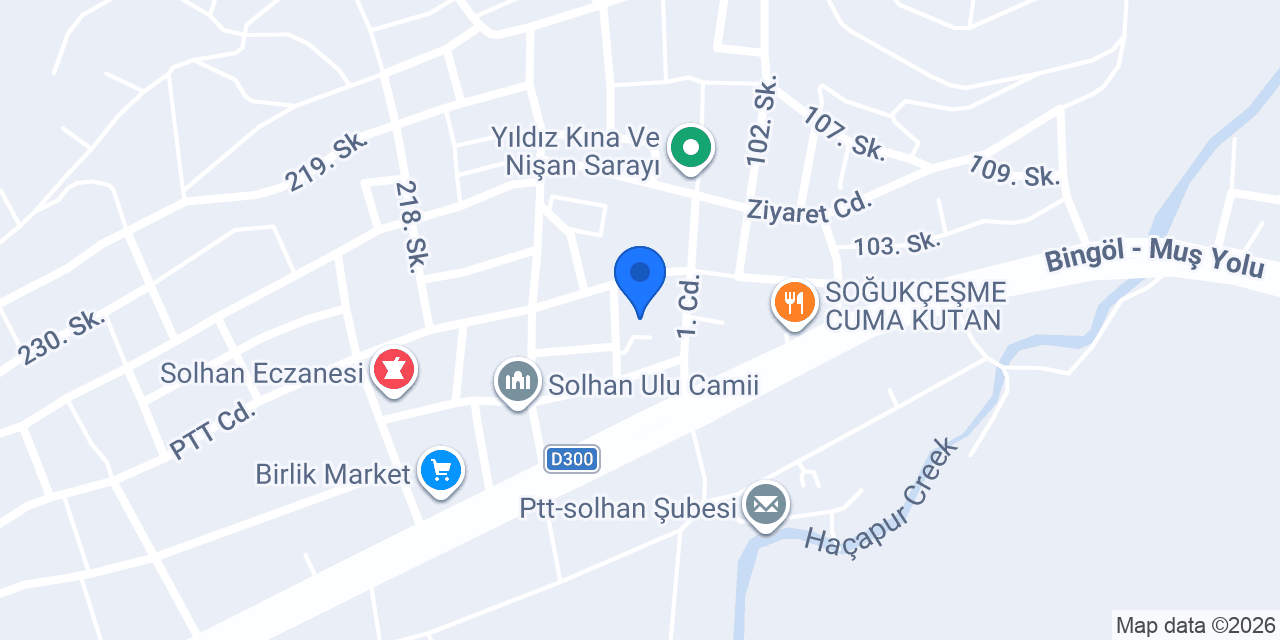 Beri Auto kilinik konumu