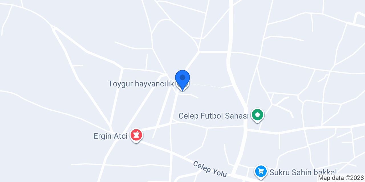 Toygur hayvancılık konumu