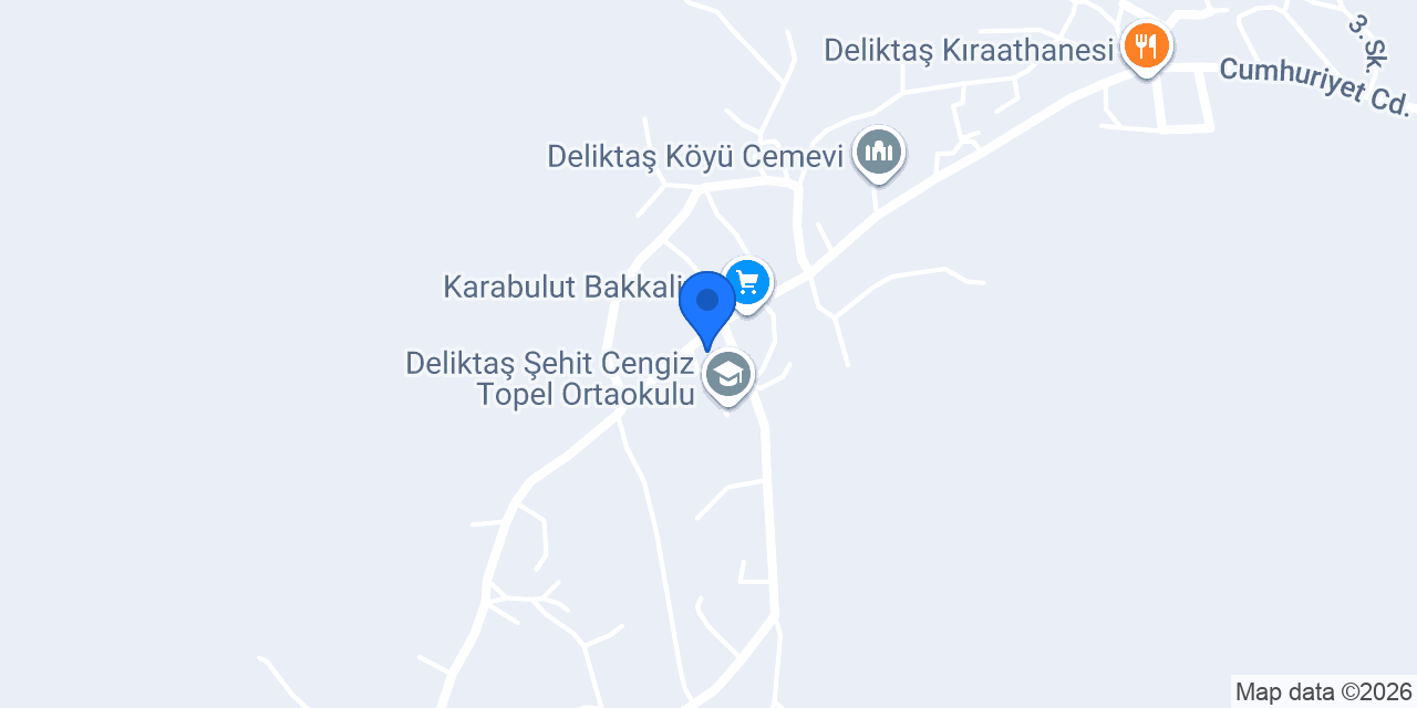 Deliktaş İlk Ve Ortaokulu konumu
