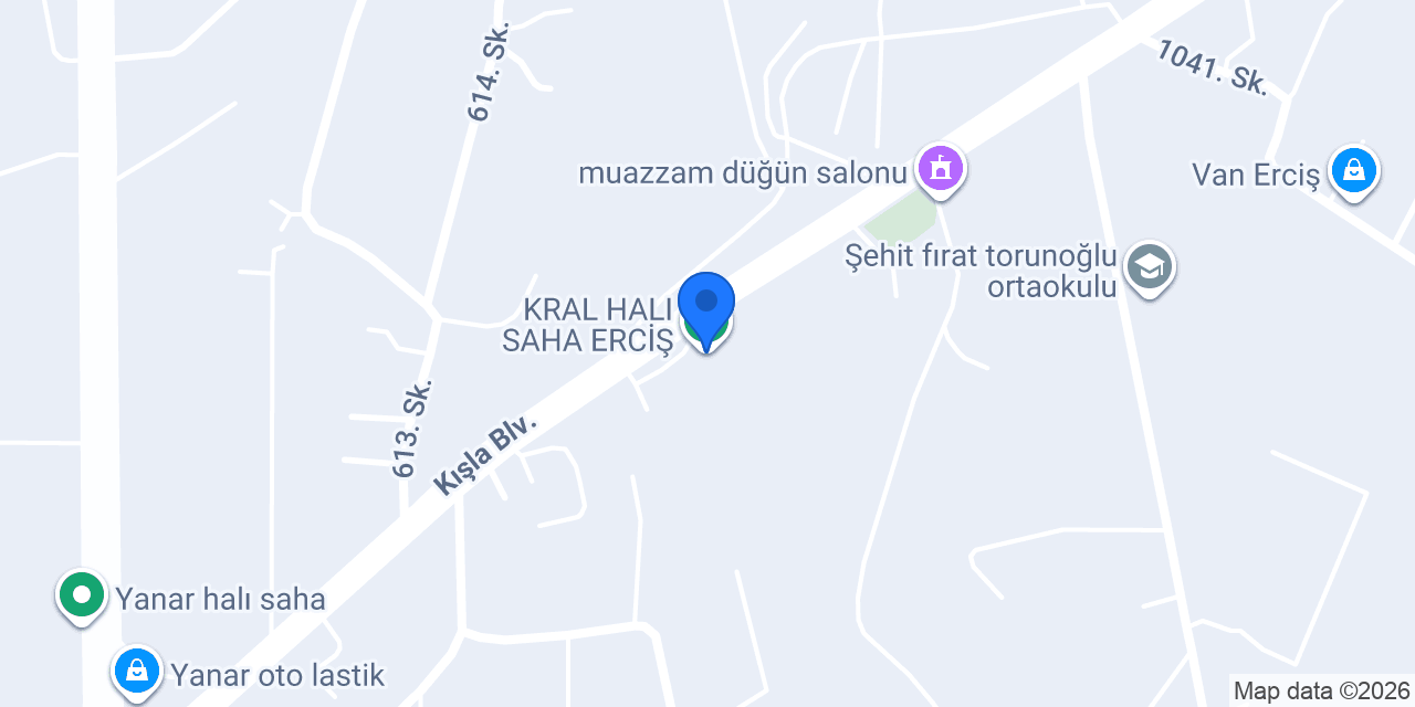 KRAL HALI SAHA ERCİŞ konumu