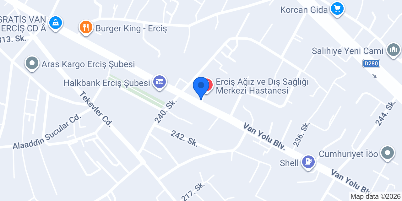 Erciş Taşıyıcı Oto Kurtarma konumu