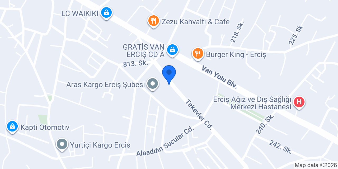 Domino's Pizza Erciş konumu