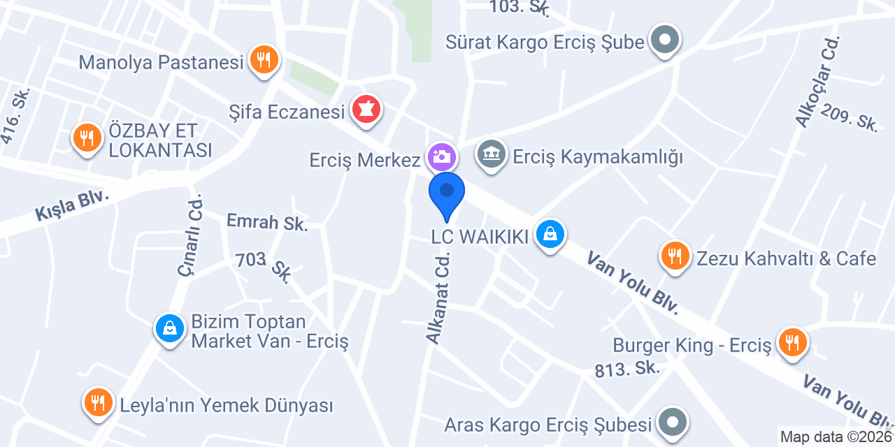 Öz diyarbakır sur ciğercisi konumu
