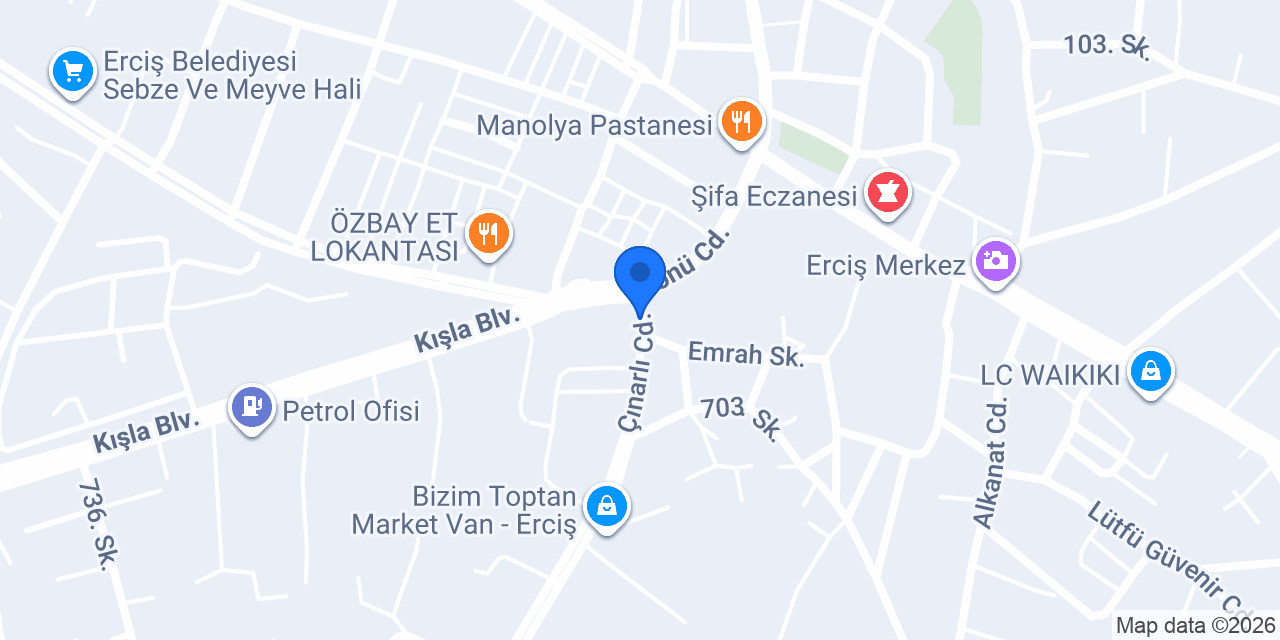 Erciş'te taksi konumu