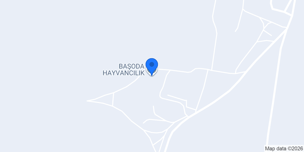 BAŞODA HAYVANCILIK konumu