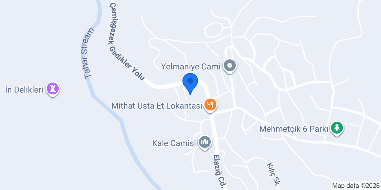 Aras traktör tümosan yetkili servis konumu