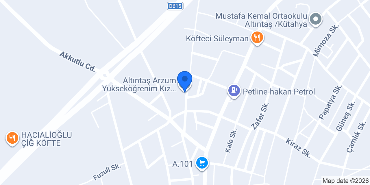 Arzum Villaları konumu