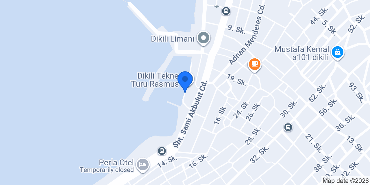 Dikili tekne turu konumu