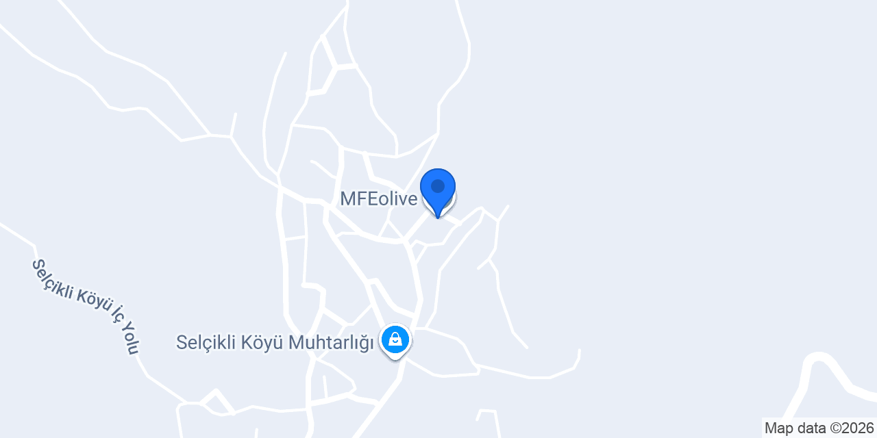 MFEolive konumu
