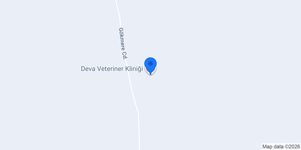 Deva Veteriner Kliniği konumu