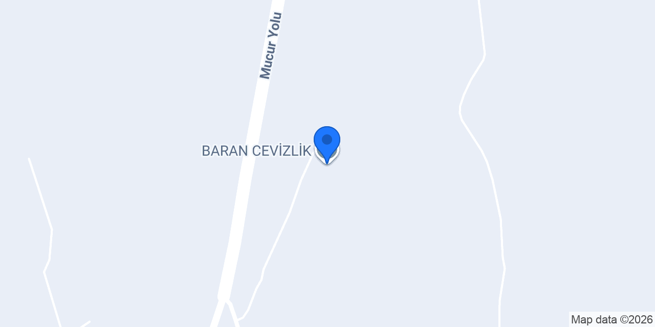 BARAN CEVİZLİK konumu