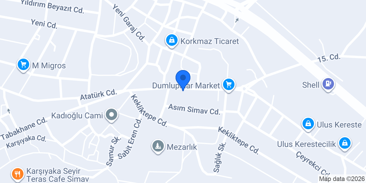 PETLAS-Karaoğul Otomotiv konumu