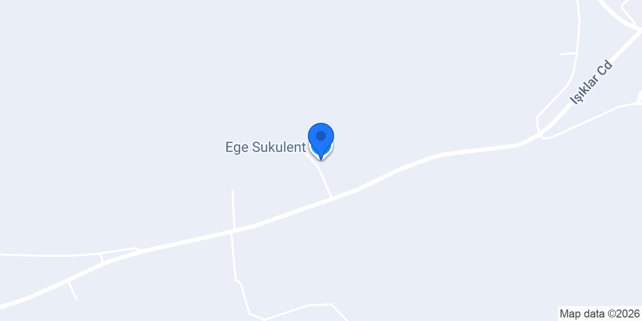 Ege Sukulent konumu