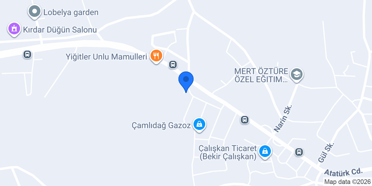 SERVİS ALPARSLAN konumu